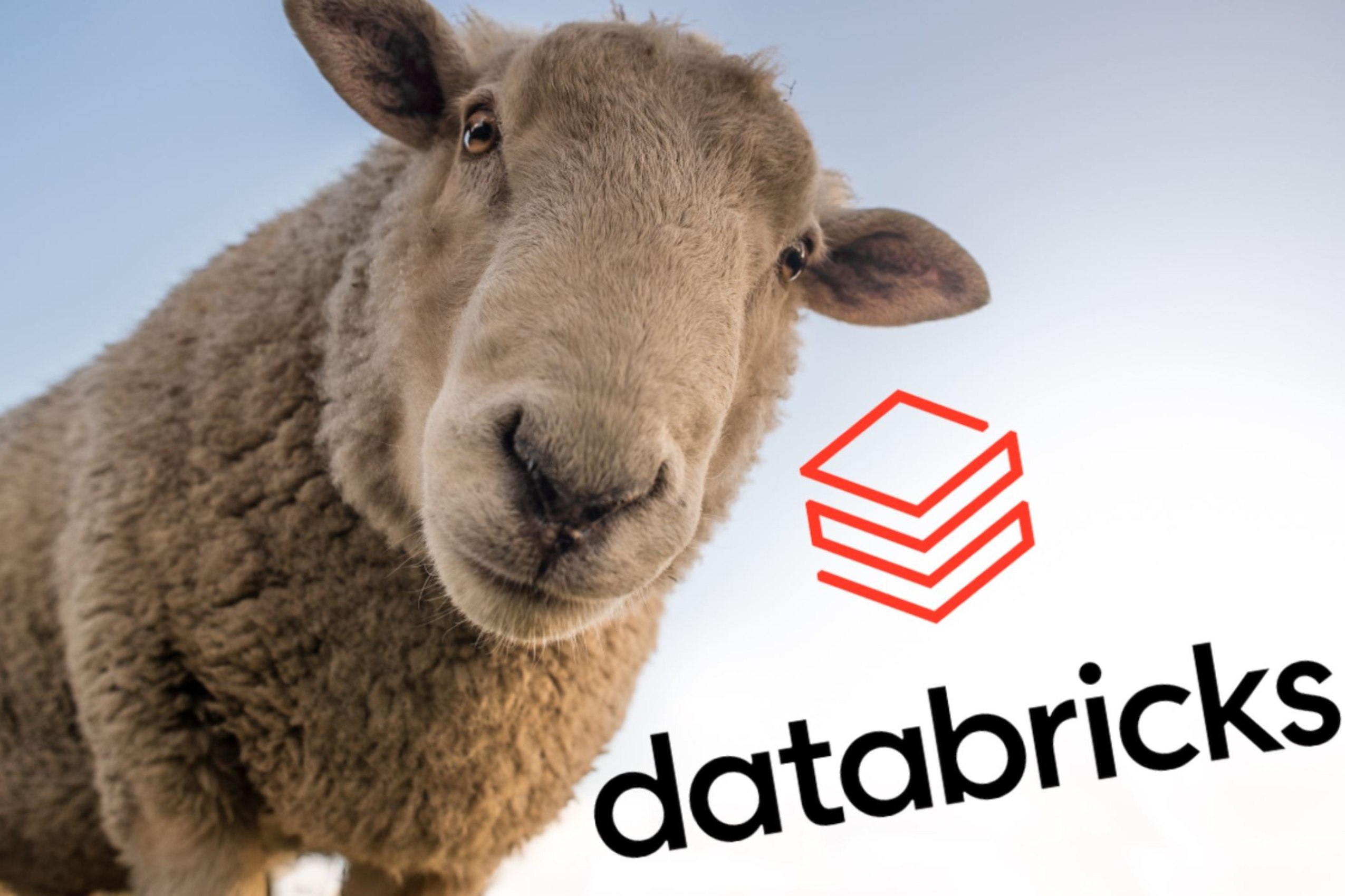 A Databricks kiadja a Dolly nyílt forráskódú LLM modellt a vállalati chatbotokhoz