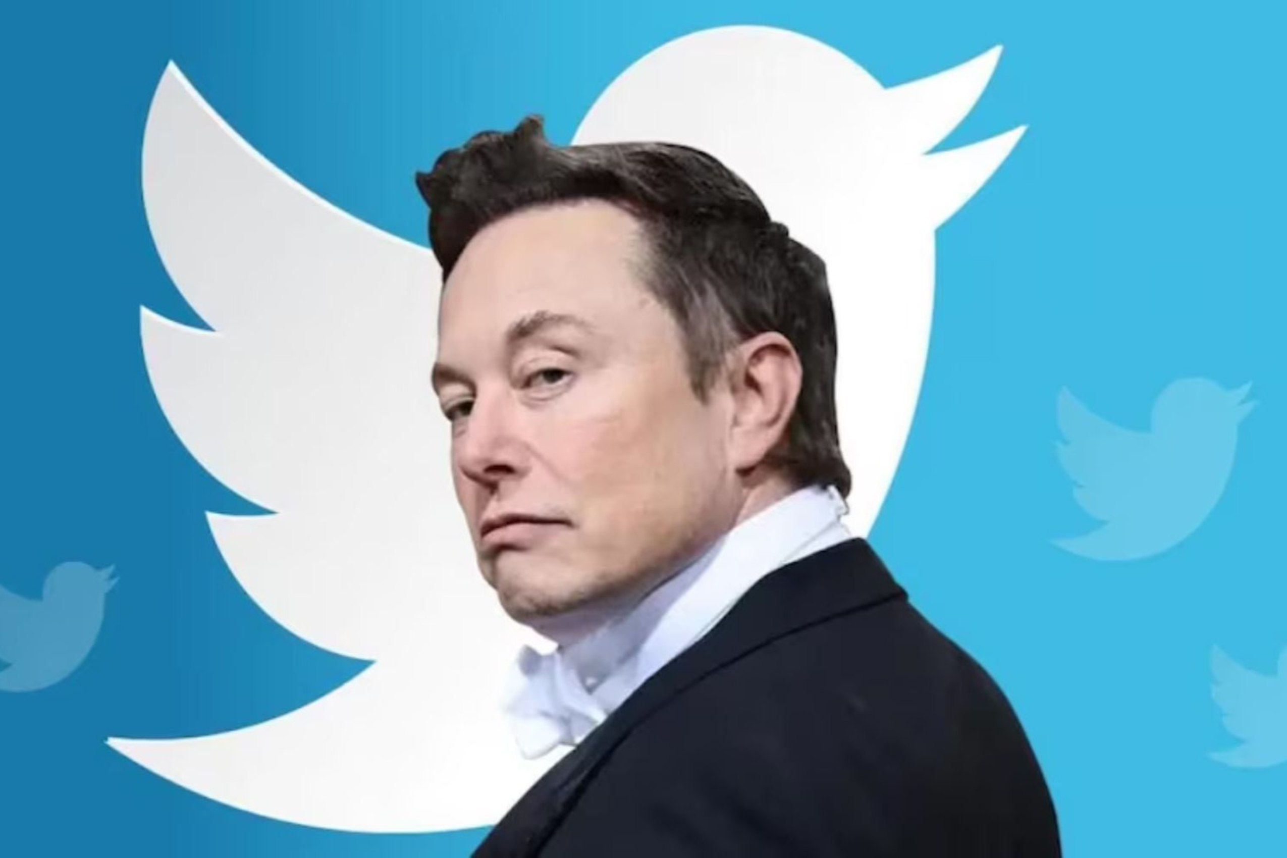 Elon Musk több ezer GPU-val bővít a Twitter AI-projektjéhez
