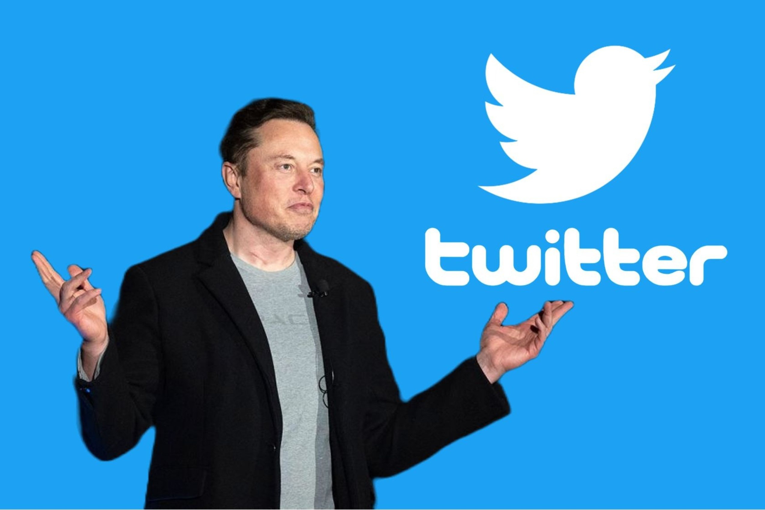 Elon Musk 10 000 GPU-t vásárolt a Twitternek, ami arra utal, hogy nem lassítja az AI fejlesztését