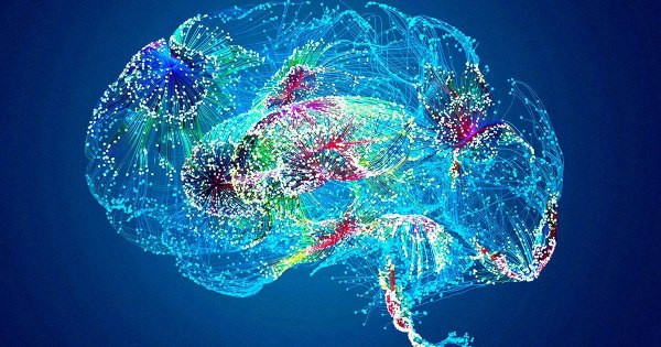 Veszélyes precedens: a Google egészségügyi AI-ja kitalált egy emberi testrészt, ami nem is létezik